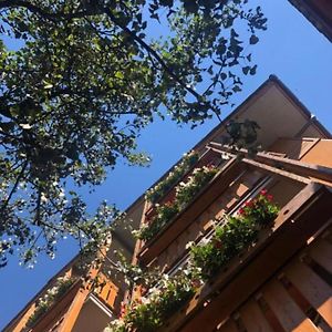 Hotel Moizi